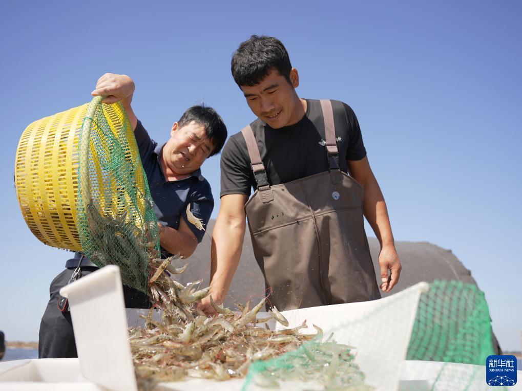 网上赌城黄金城